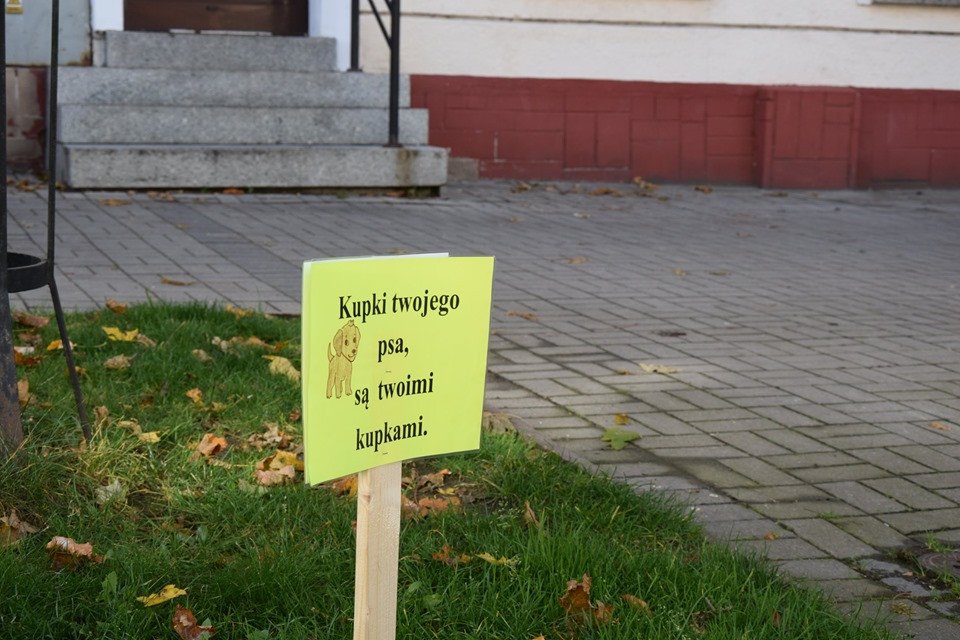 lekcja-od-dzieci-84149