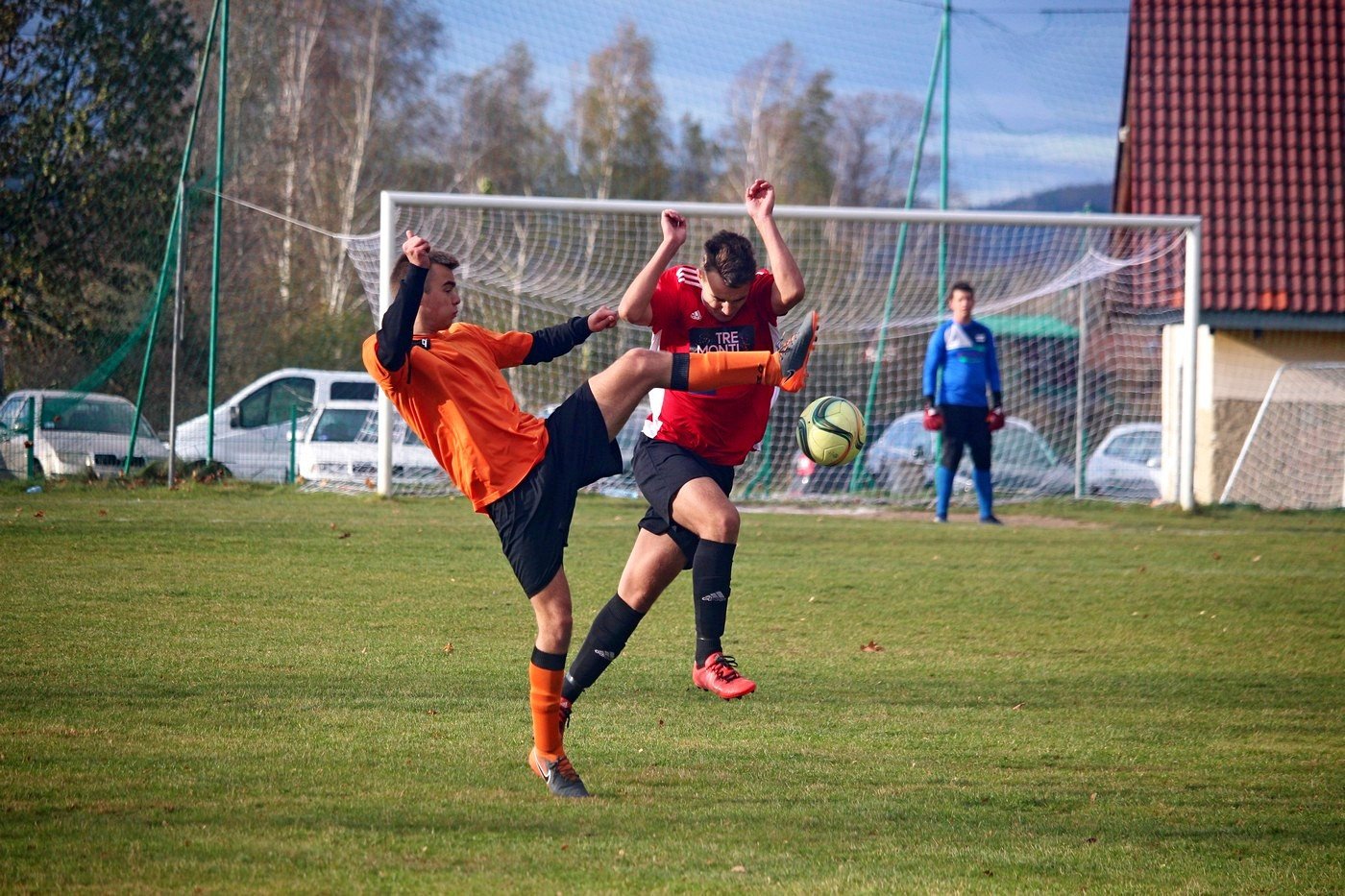 halniak-na-remis-84155