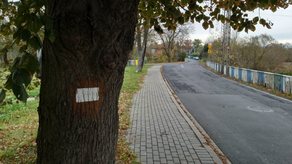 wedrowka-przez-jeleniec-na-koziniec-84214