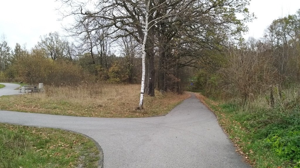 wedrowka-przez-jeleniec-na-koziniec-84214