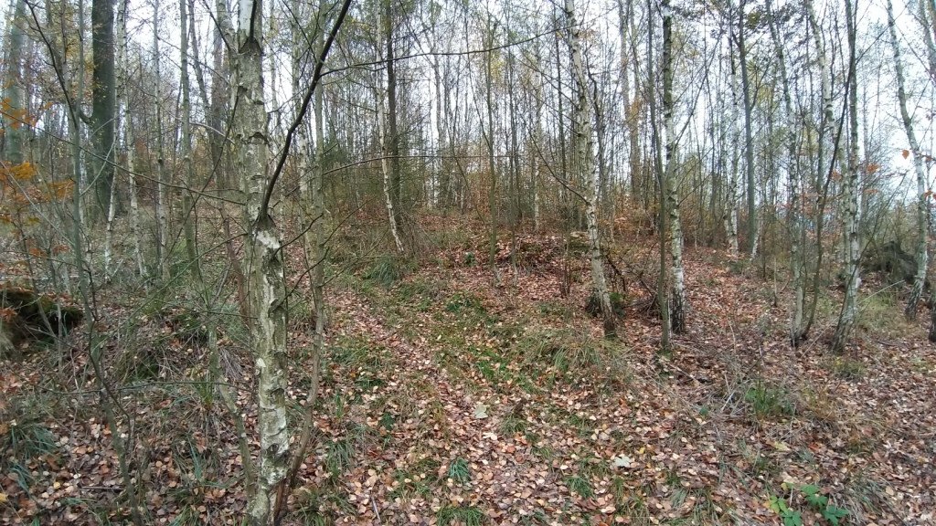 wedrowka-przez-jeleniec-na-koziniec-84214