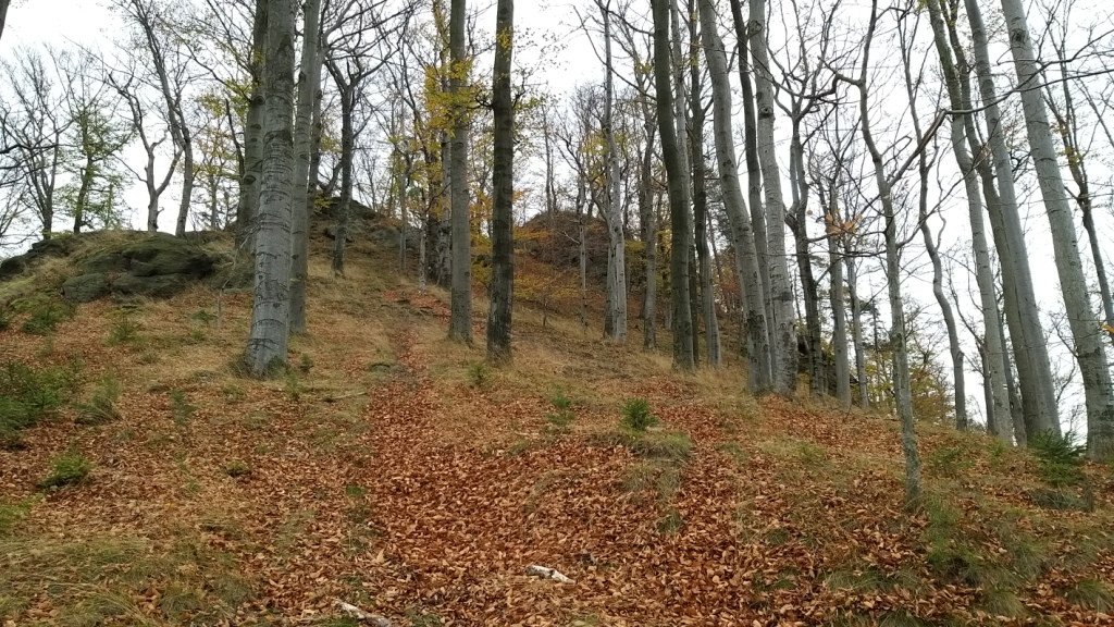wedrowka-przez-jeleniec-na-koziniec-84214