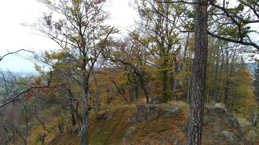wedrowka-przez-jeleniec-na-koziniec-84214
