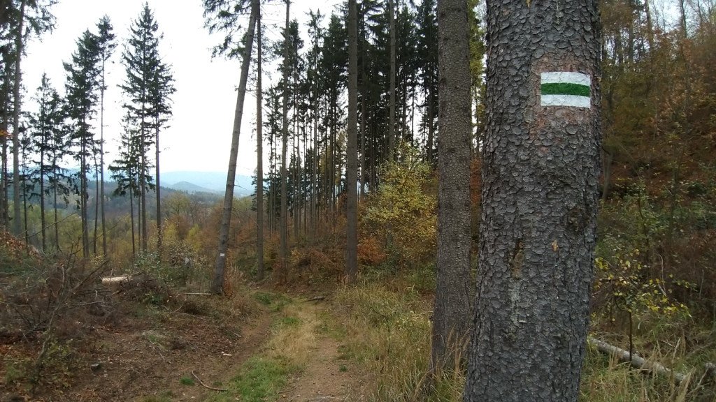 wedrowka-przez-jeleniec-na-koziniec-84214