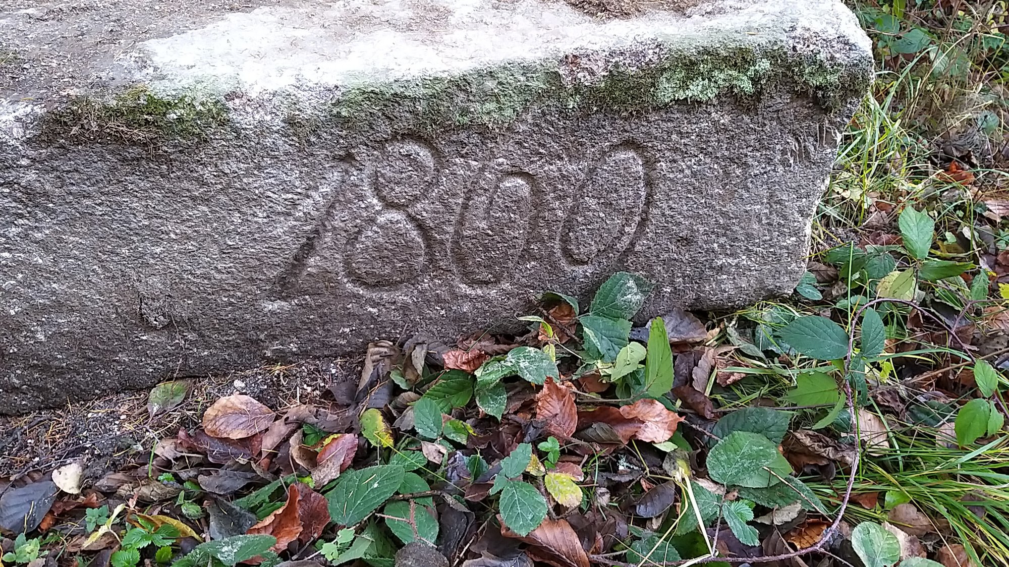 droga-pod-reglami-84332