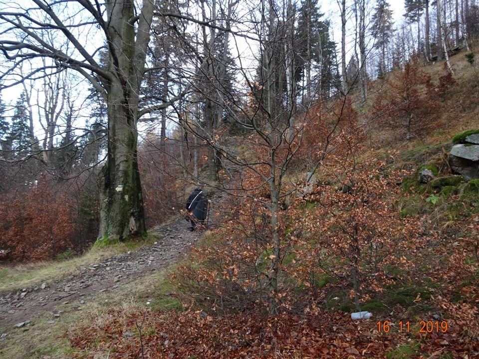 pozegnali-sonce-84383