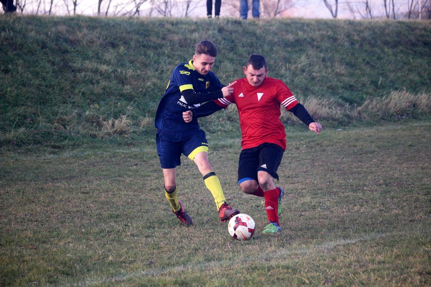 bobry-zwycieskie-na-koniec-rundy-84432