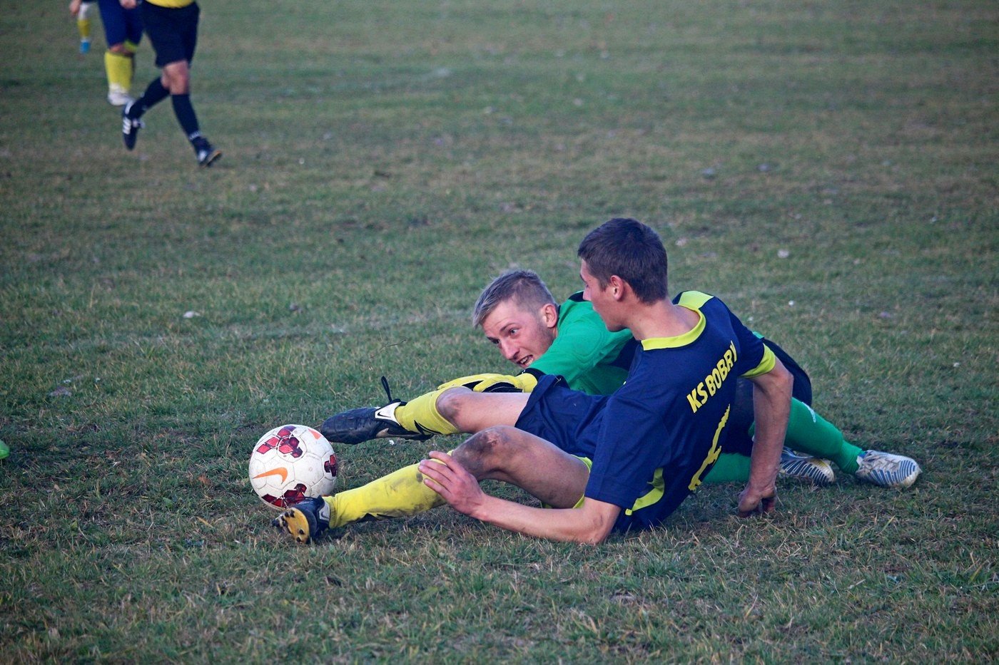 bobry-zwycieskie-na-koniec-rundy-84432