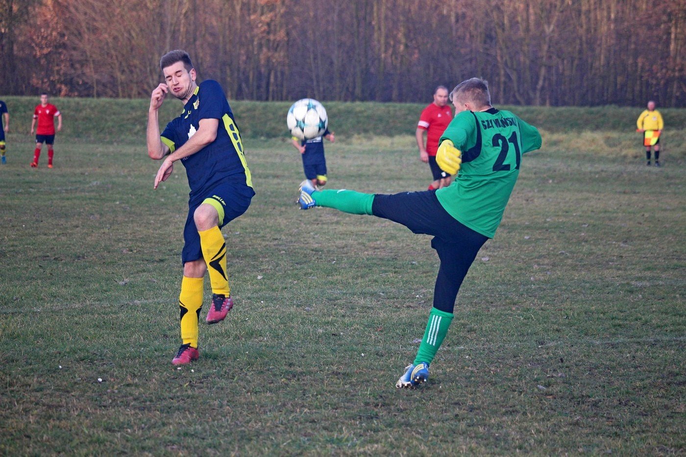 bobry-zwycieskie-na-koniec-rundy-84432