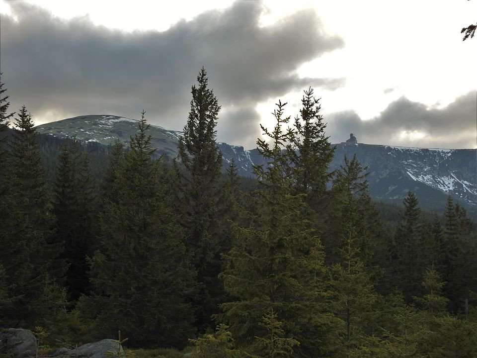 bez-barier-nad-snieznymi-kotami-84456