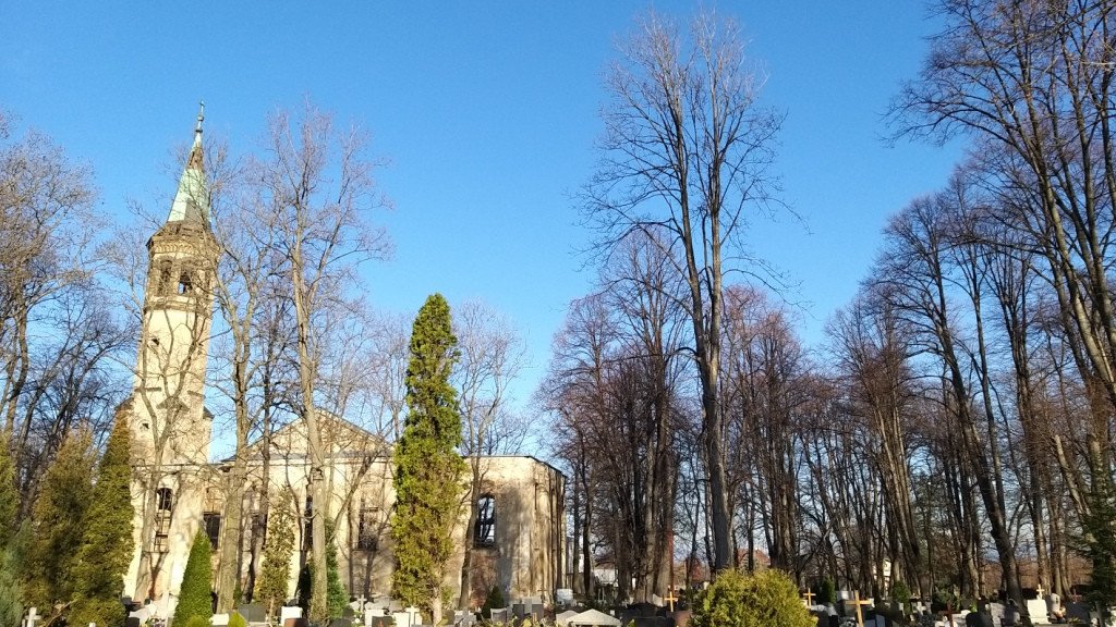 brzeznik-na-trzy-piatki-84554