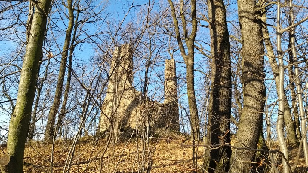 brzeznik-na-trzy-piatki-84554