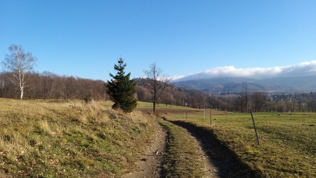 brzeznik-na-trzy-piatki-84554