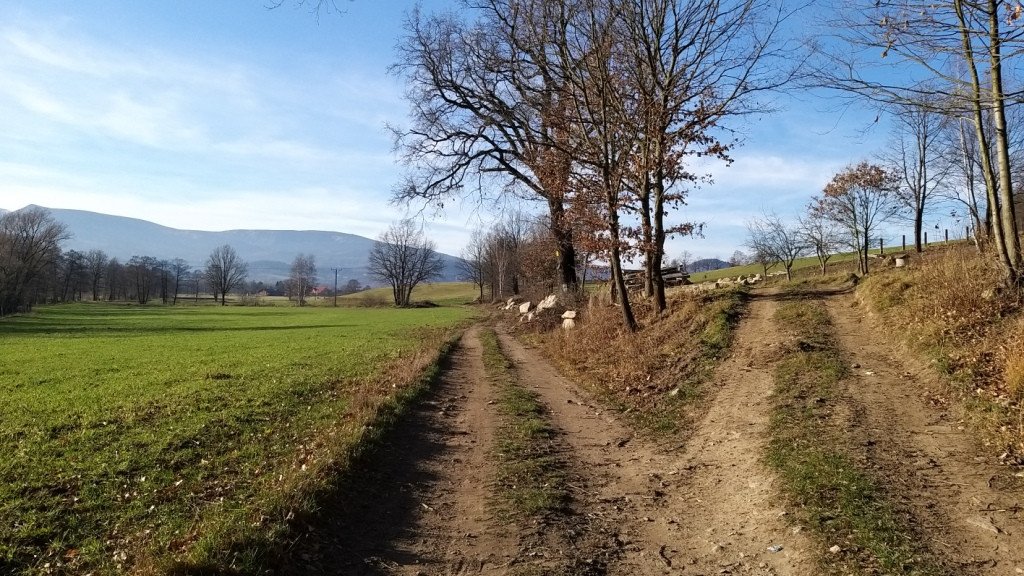 brzeznik-na-trzy-piatki-84554