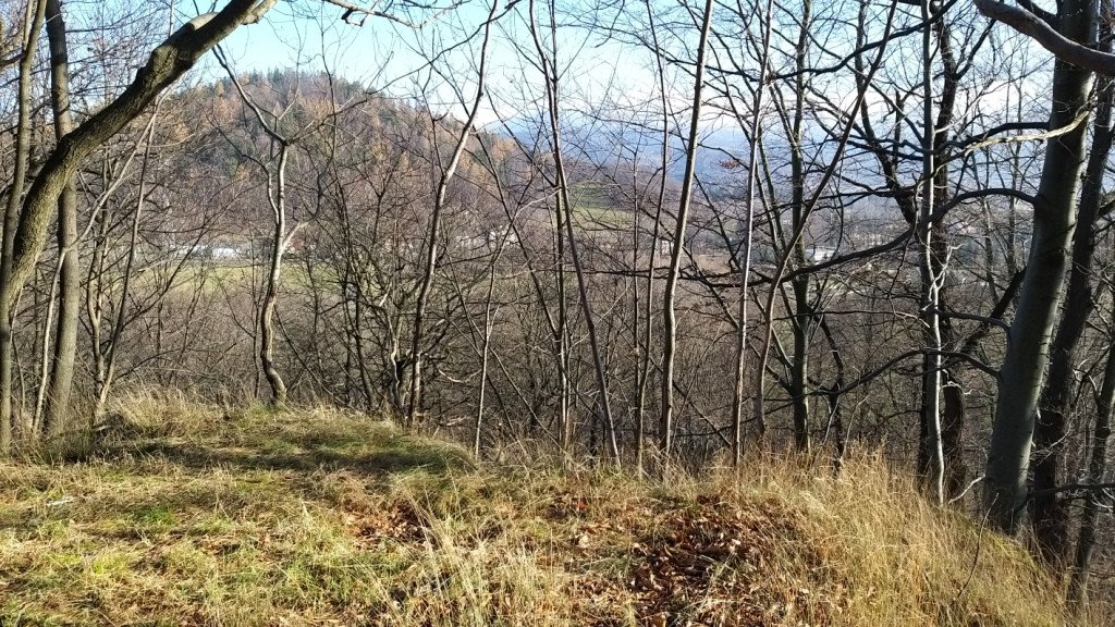 brzeznik-na-trzy-piatki-84554