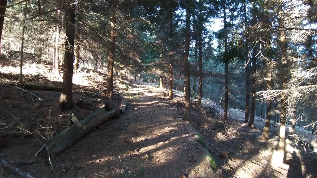 brzeznik-na-trzy-piatki-84554
