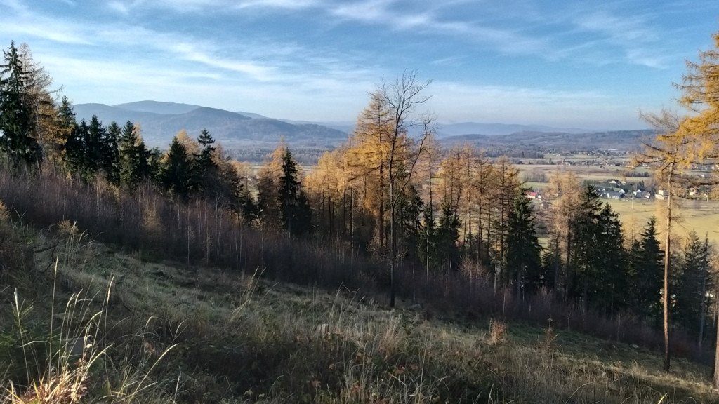 brzeznik-na-trzy-piatki-84554