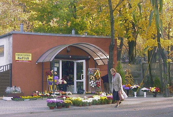 zapona-znicze-8459