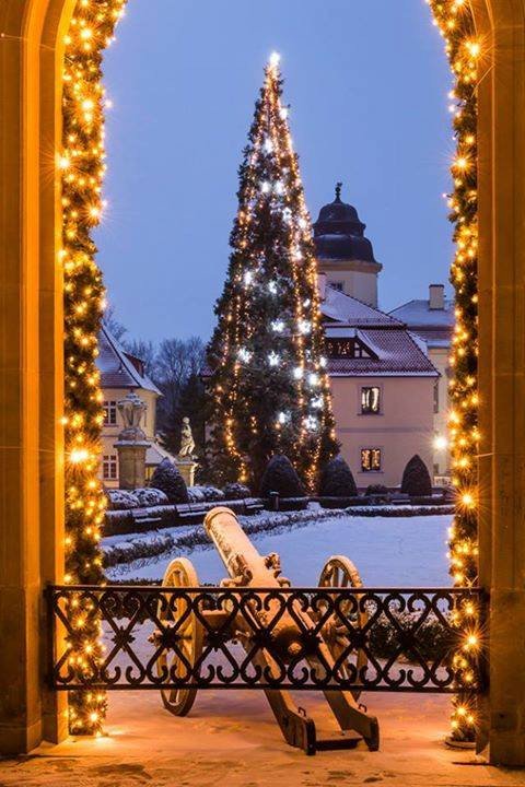 magia-swiat-w-zamku-ksiaz-84601