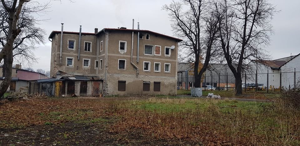 ogrodowa-sie-zmieni-84688