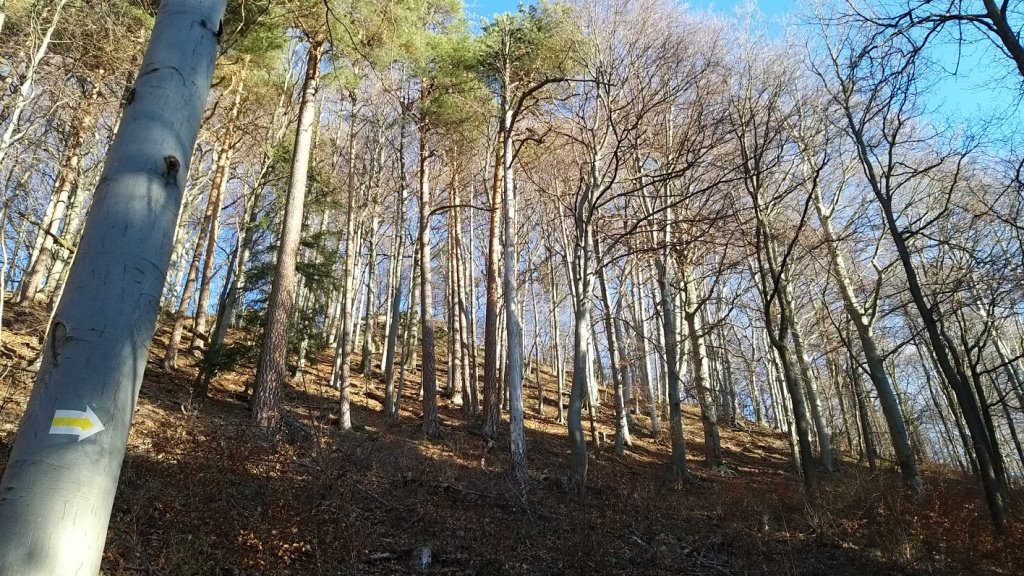 piechota-przez-stromiec-na-okole-84798