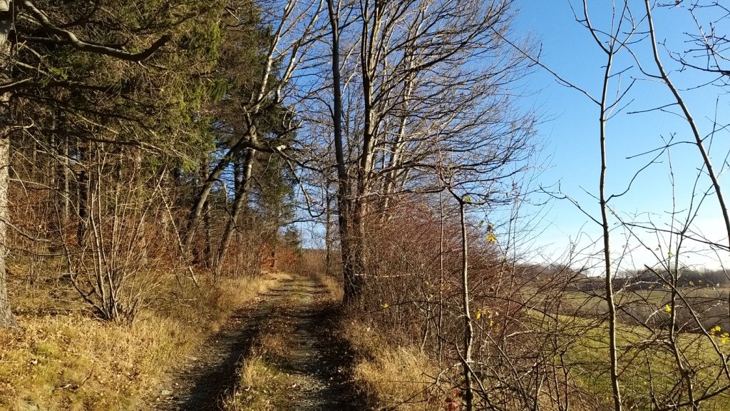 piechota-przez-stromiec-na-okole-84798