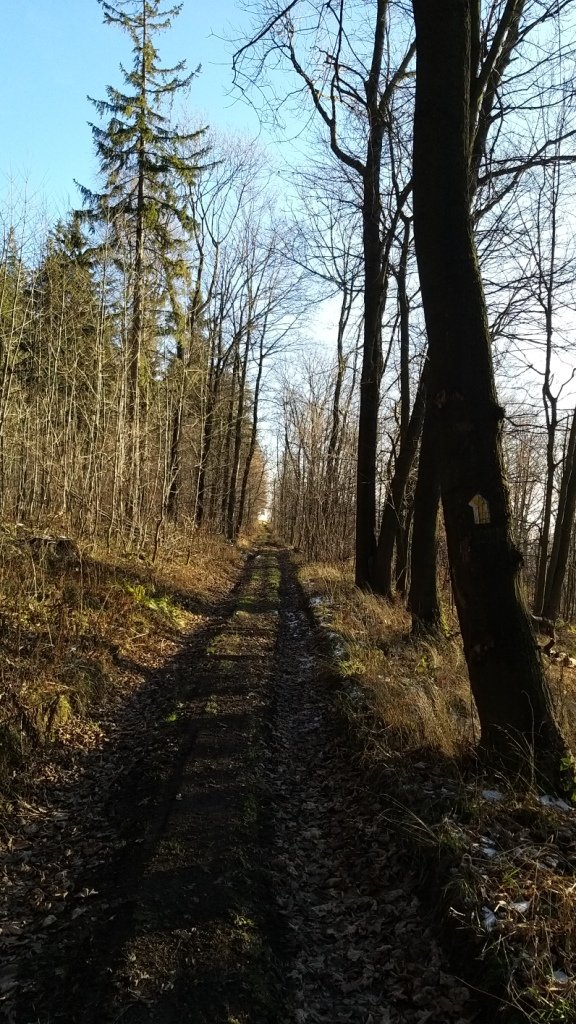 piechota-przez-stromiec-na-okole-84798