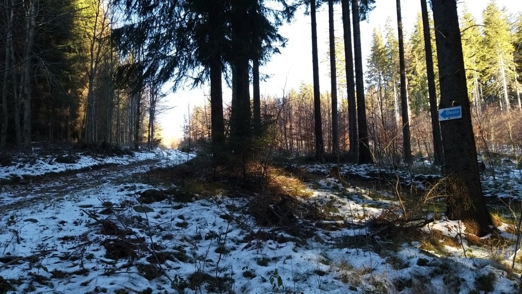 piechota-przez-stromiec-na-okole-84798
