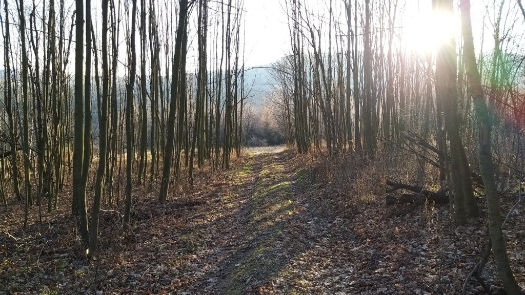 piechota-przez-stromiec-na-okole-84798
