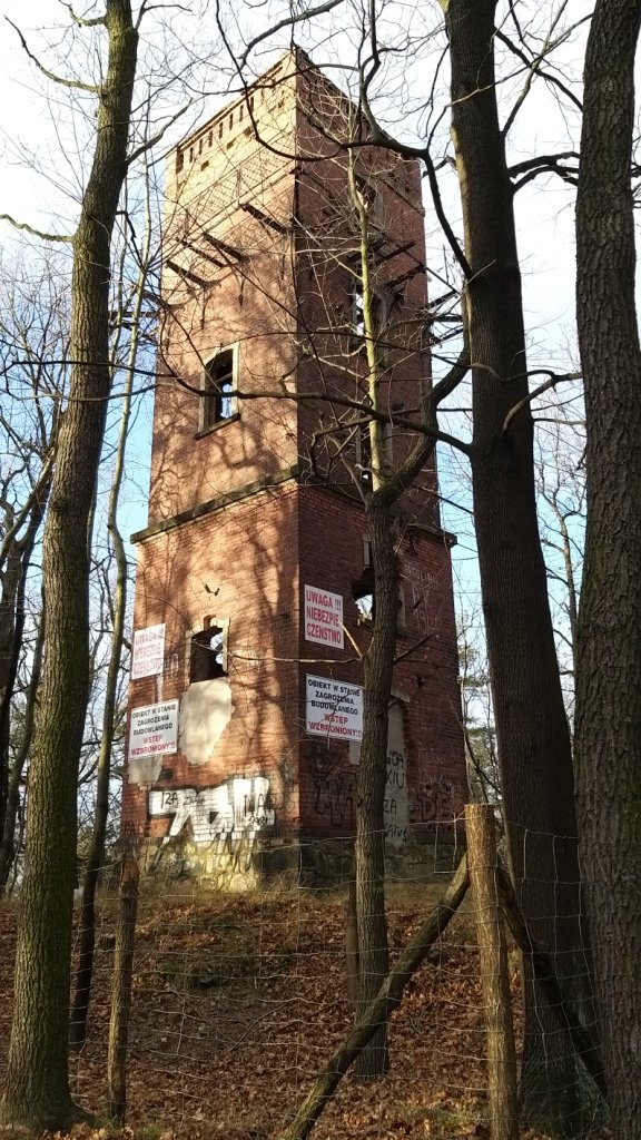 gownym-cieplickim-szlakiem-spacerowym-84905