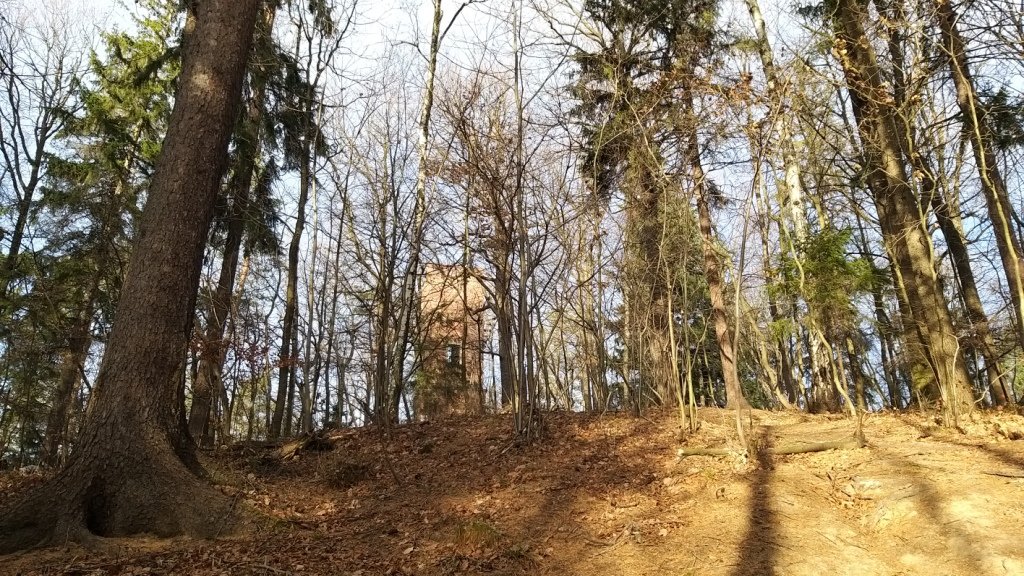 gownym-cieplickim-szlakiem-spacerowym-84905