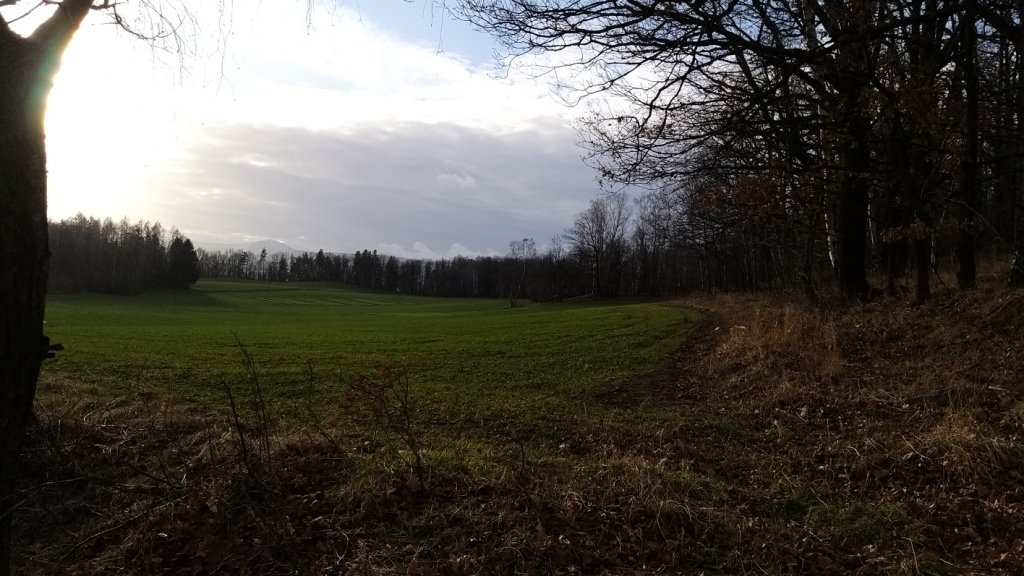 gownym-cieplickim-szlakiem-spacerowym-84905