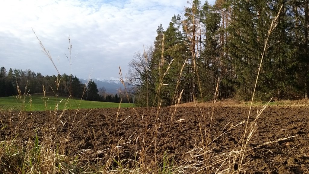 gownym-cieplickim-szlakiem-spacerowym-84905