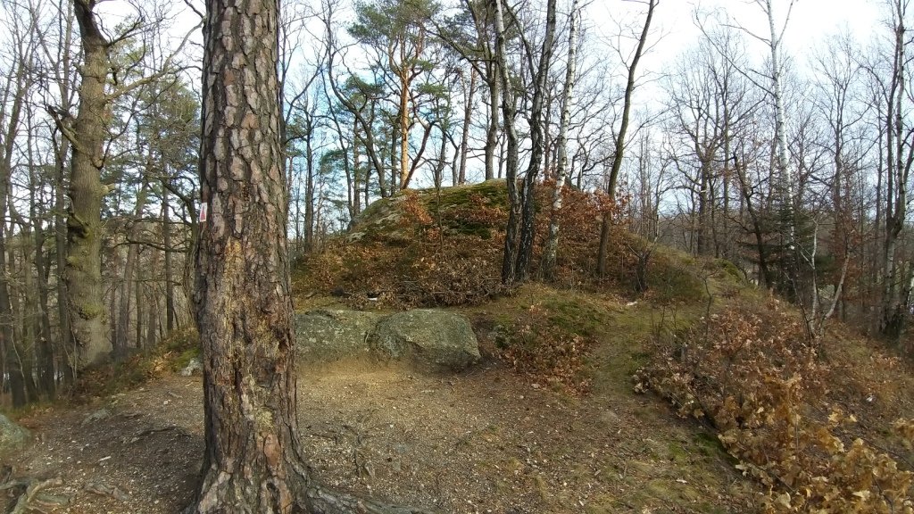 gownym-cieplickim-szlakiem-spacerowym-84905
