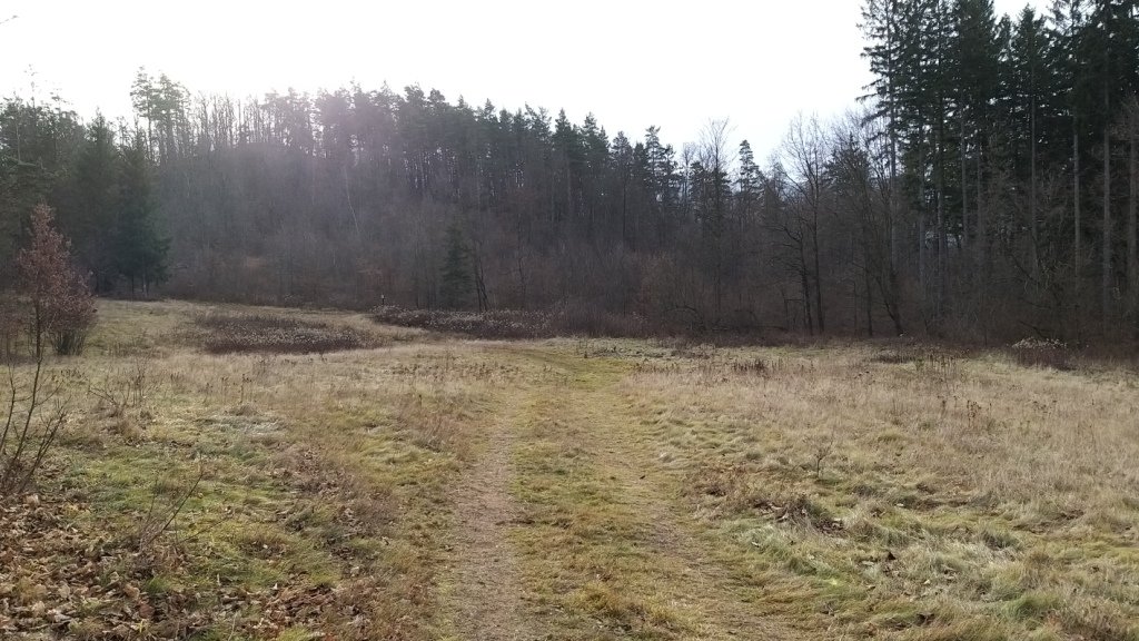 gownym-cieplickim-szlakiem-spacerowym-84905