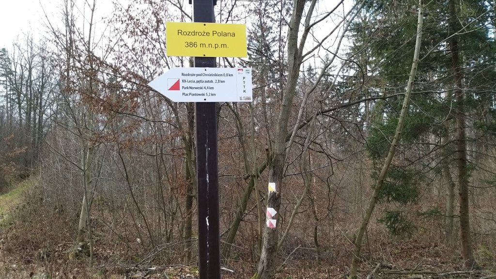 gownym-cieplickim-szlakiem-spacerowym-84905