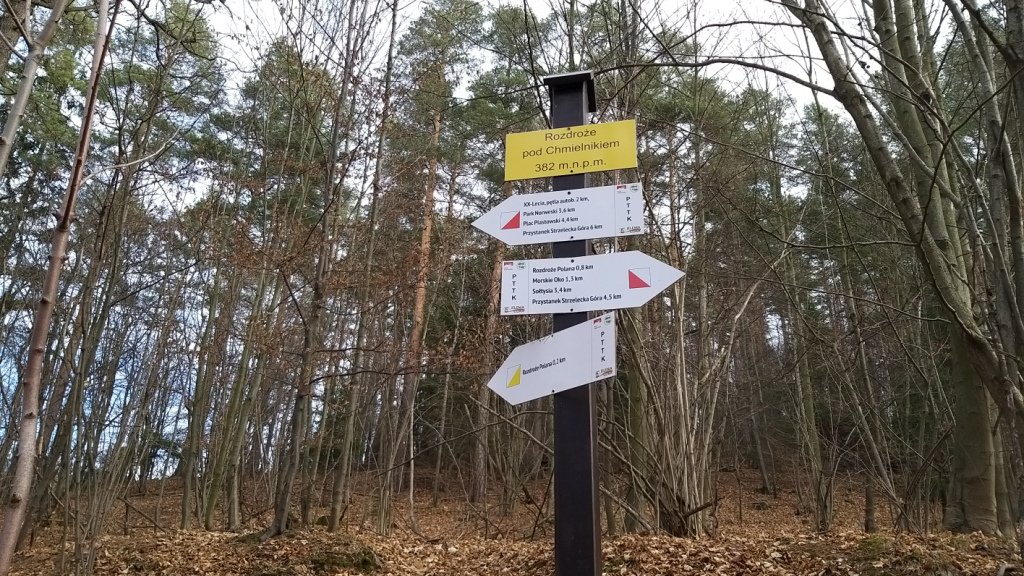 gownym-cieplickim-szlakiem-spacerowym-84905