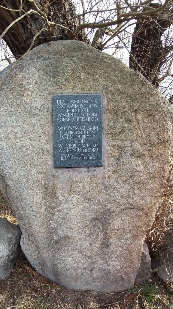 gownym-cieplickim-szlakiem-spacerowym-84905