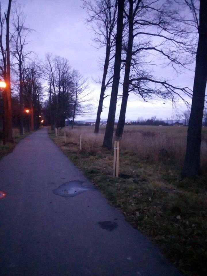 cwierc-miliona-na-pielegnacje-zieleni-84952
