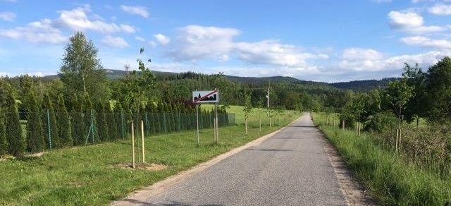 cwierc-miliona-na-pielegnacje-zieleni-84952