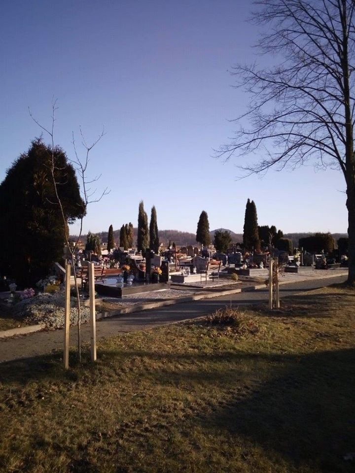 cwierc-miliona-na-pielegnacje-zieleni-84952