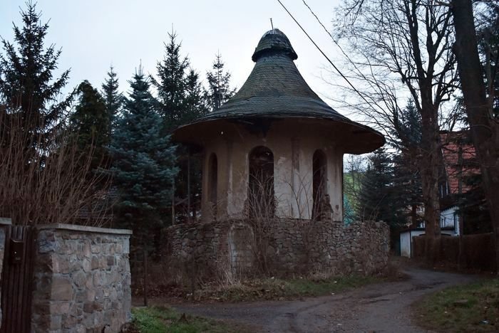 grzywna-za-grzybek-85018