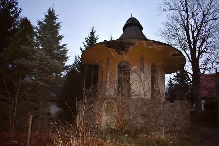 grzywna-za-grzybek-85018