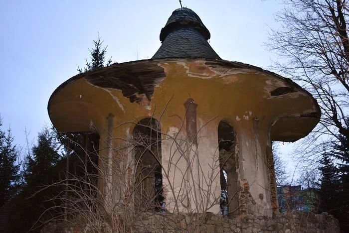 grzywna-za-grzybek-85018