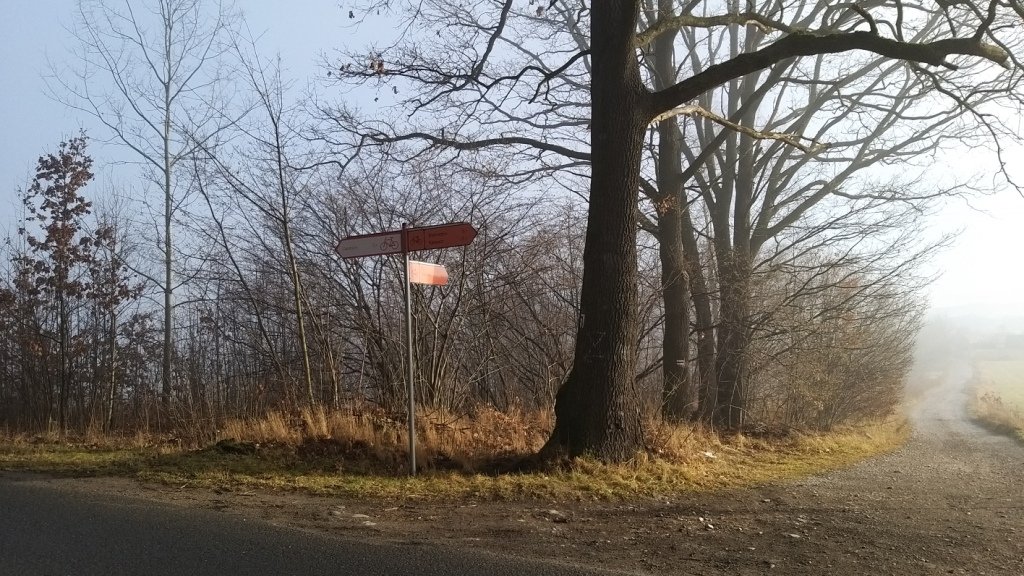 zgodzisz-sie-na-skalista-i-godzisz-85022