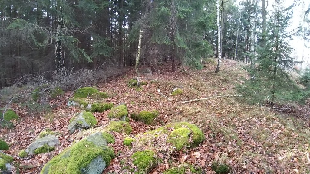 zgodzisz-sie-na-skalista-i-godzisz-85022