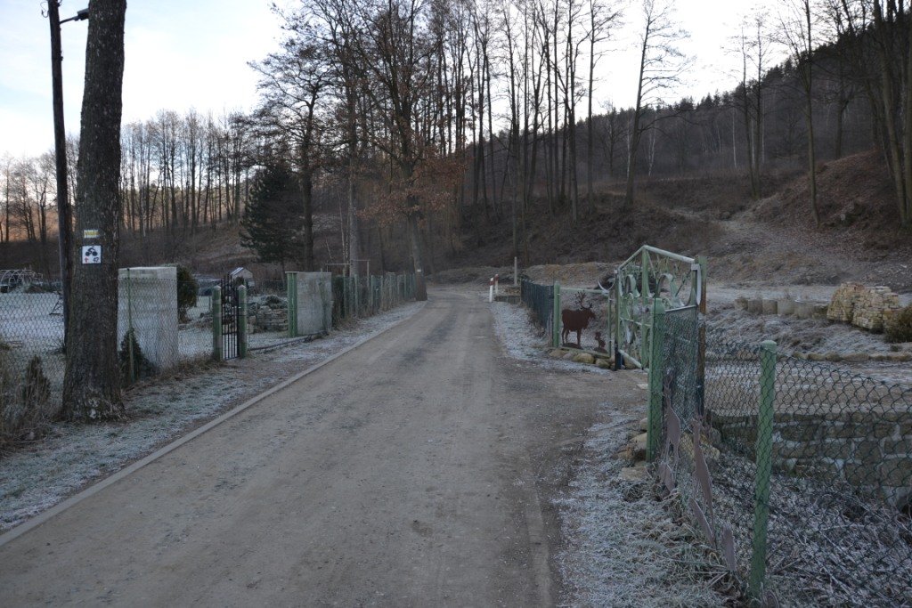 spacer-przez-cicha-doline-na-grzybowiec-85083