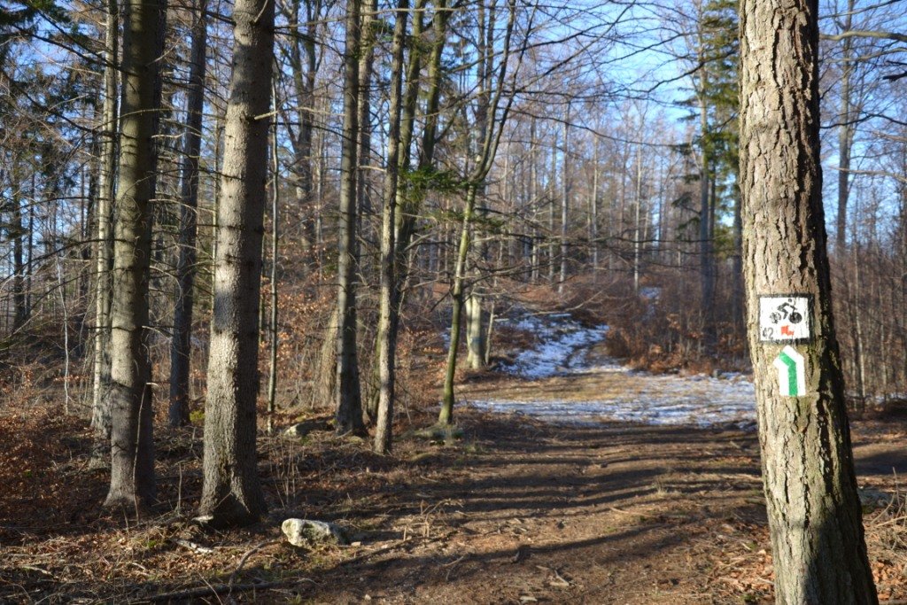 spacer-przez-cicha-doline-na-grzybowiec-85083