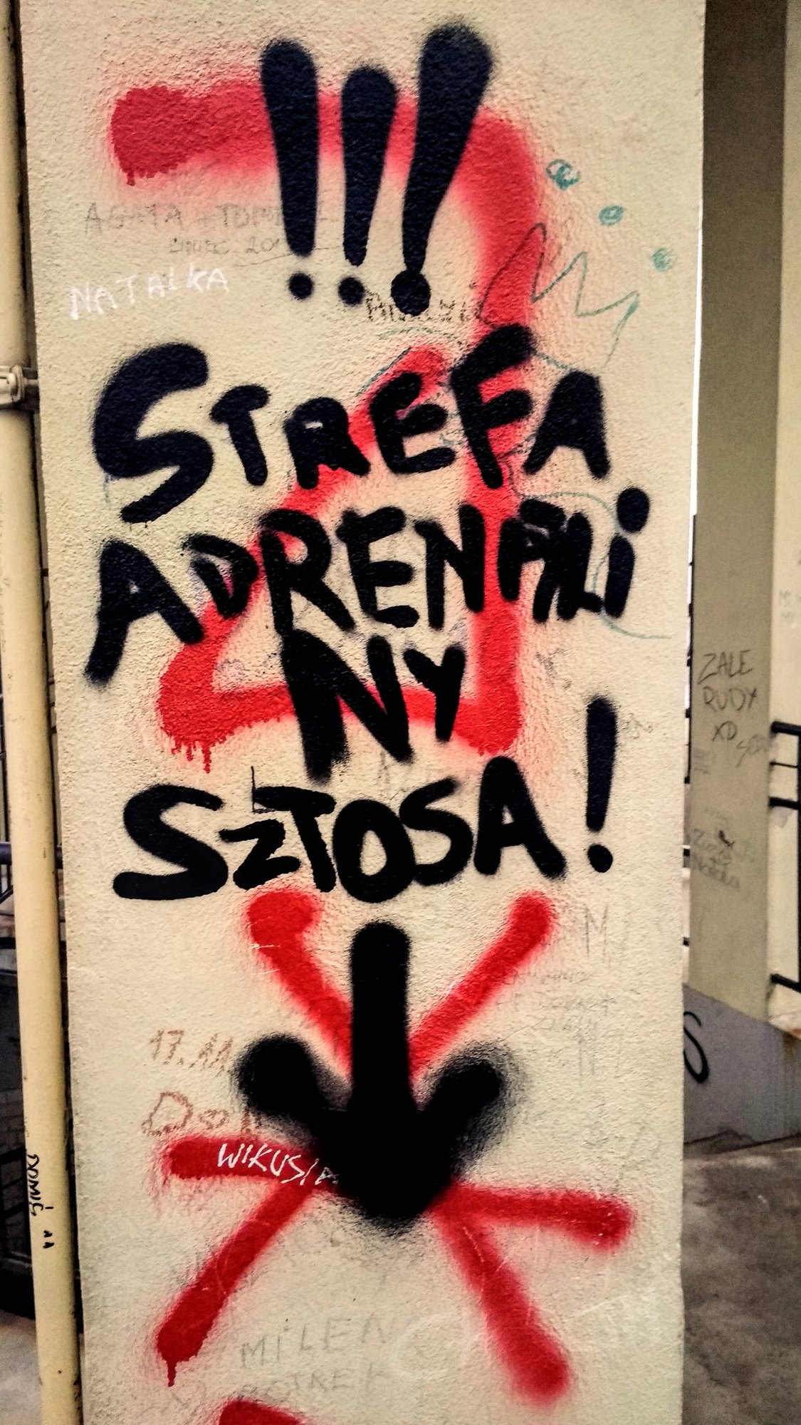 na-spacer-na-grzybek-85302