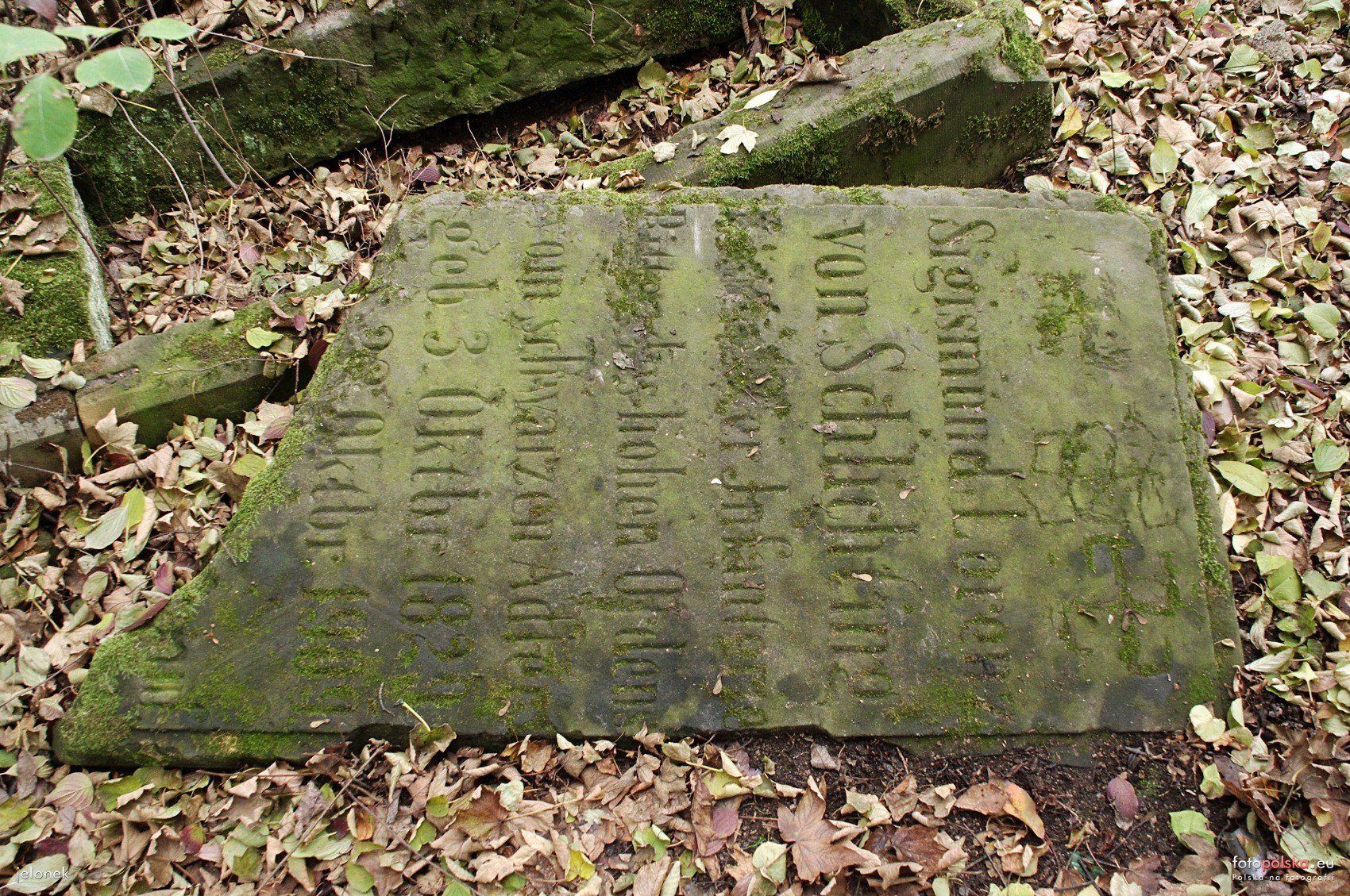 Płyta nagrobna Schlichtinga/fot. M. Wojtczuk